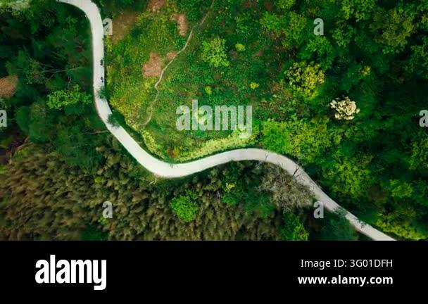 An aerial view follows a winding road through forest and patches of ...