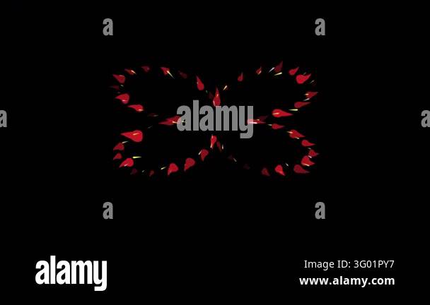 Dynamic motion graphic animation featuring red petals moving in a ...