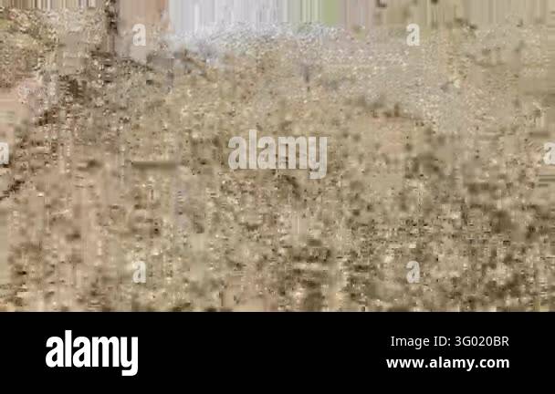 Quality Sign Transparent Background Transparent shallow water moves over an earthy stream bed creating ...