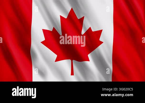 Canada Flag Waving Seamless Looping Animation Stock Video Footage - Alamy
