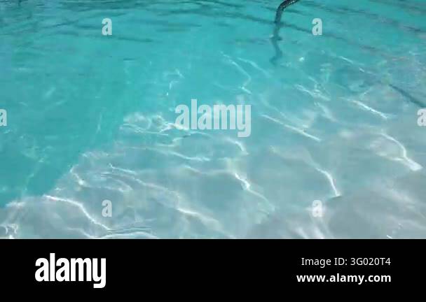 Pool Wiver Beautiful outdoor swimming pool with crystal clear blue water on a ...