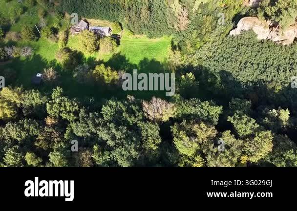 Smlll Image Sunlit grassy clearing surrounded by dense woodland, seen from above ...