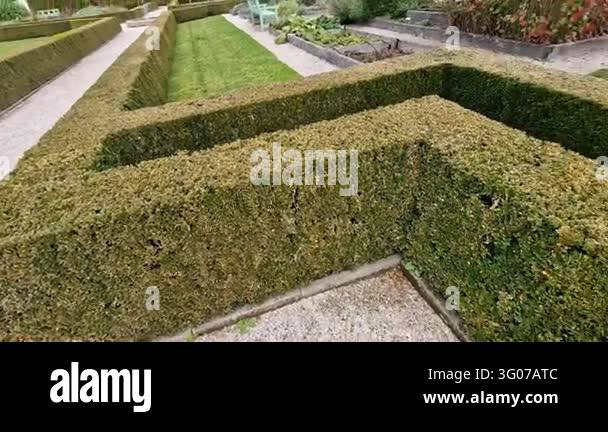 Specific Search Vector neatly manicured hedge maze or labyrinth featuring geometric pathways ...