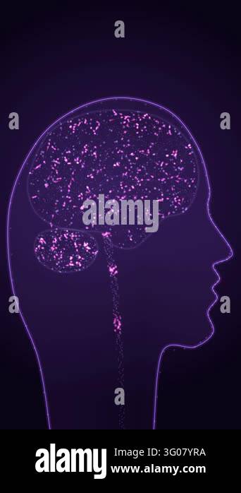 A violet glowing head outline in side view shows a brain filled with ...