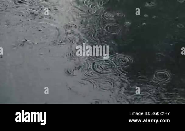 Rain falls onto a dark water surface, forming overlapping circular ...