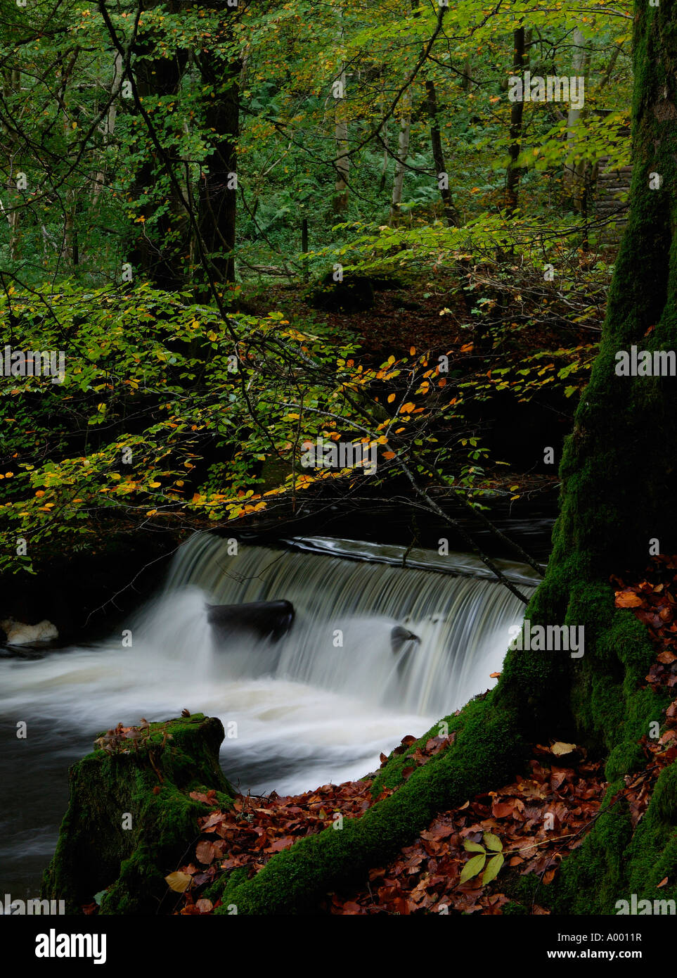 Waterfall, Aberfeldy Birks, Perth and Kinross, Scotland, UK, Europe Stock Photo