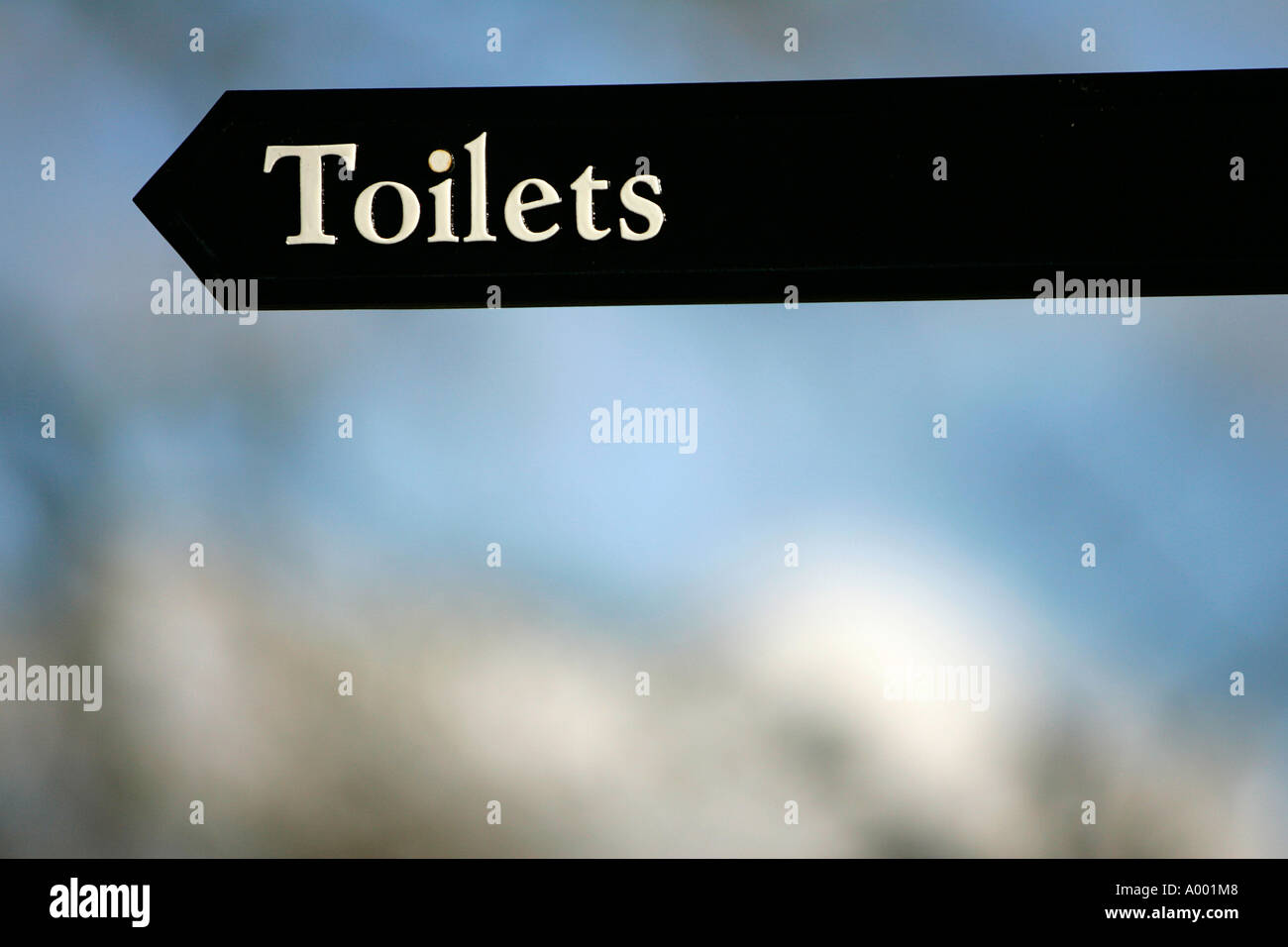 Toilet sign signing alphabetical billboard letters lettering script writing words bathroom information lavatory icon location Stock Photo
