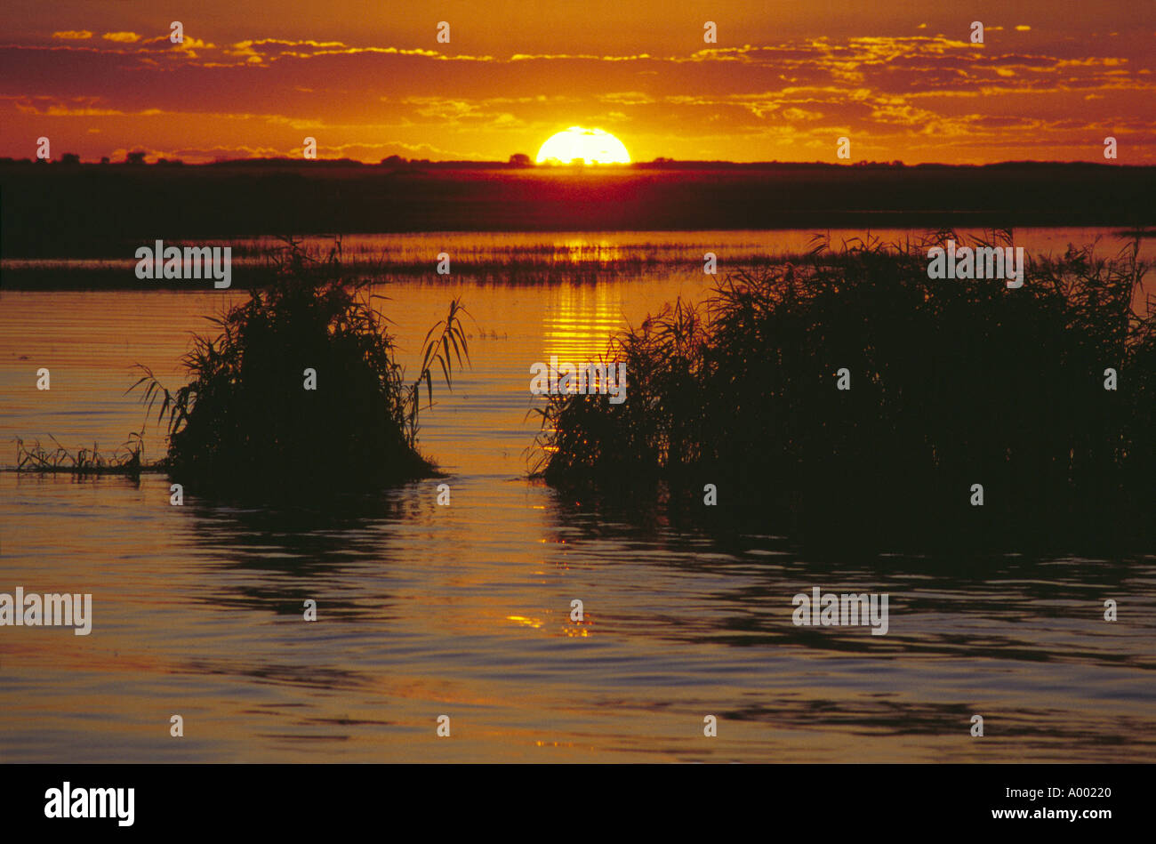 Sunset over the River Chobe Stock Photo
