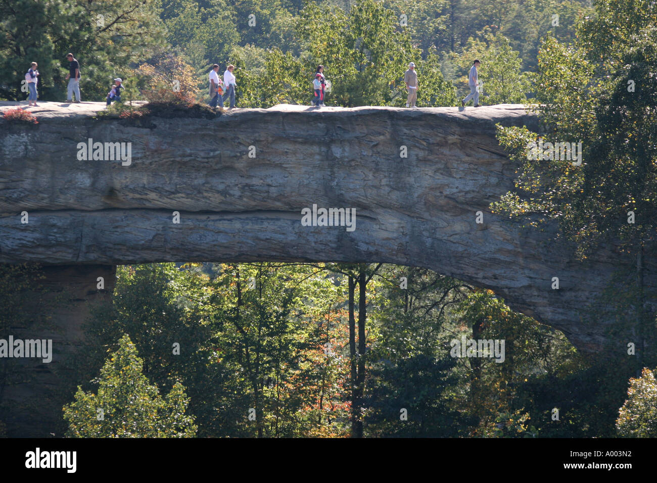 Natural Bridge state park sandstone arch Red River gorge kentucky Stock Photo