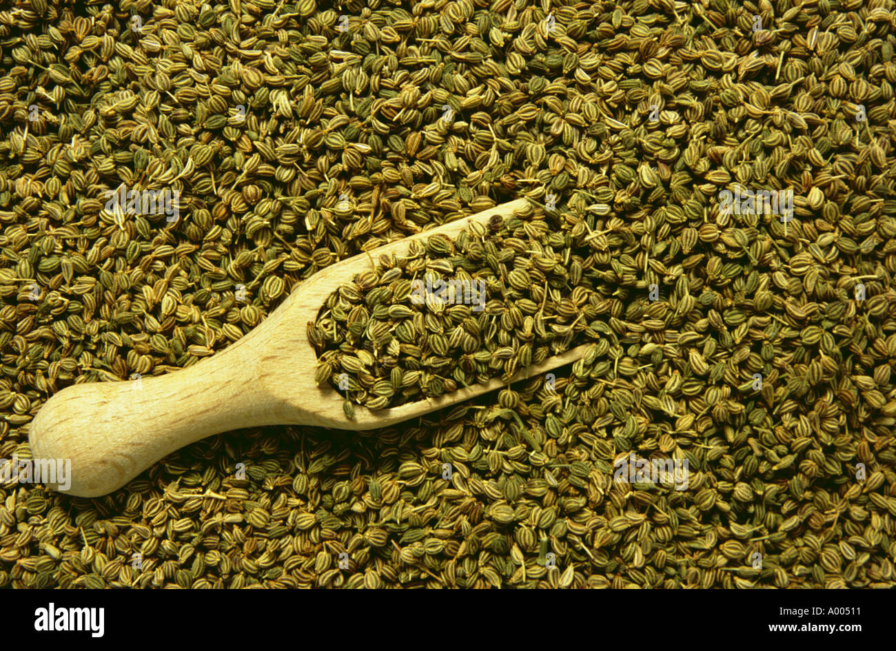 Ajwain Ajowan Carum ajowan spice and medicinal use seeds Stock Photo
