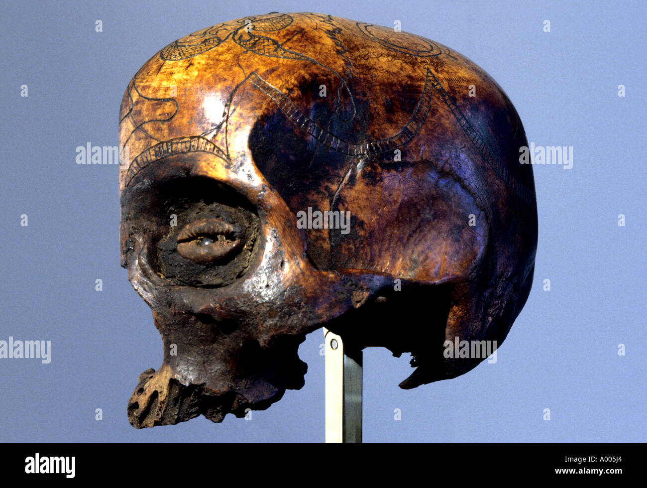 Headhunter Patterns Antique 19th to 20th-century carved human skull artifact from Toba ...