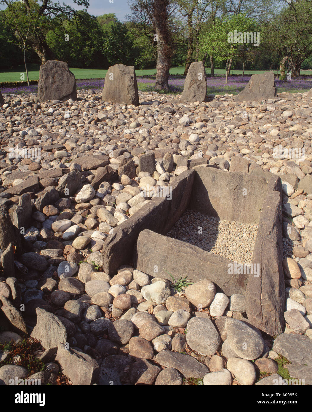 Burial kist in a stone circle at Temple Wood near Kilmartin, Lochgilphead, Argyll and Bute, Scotland, UK Stock Photo