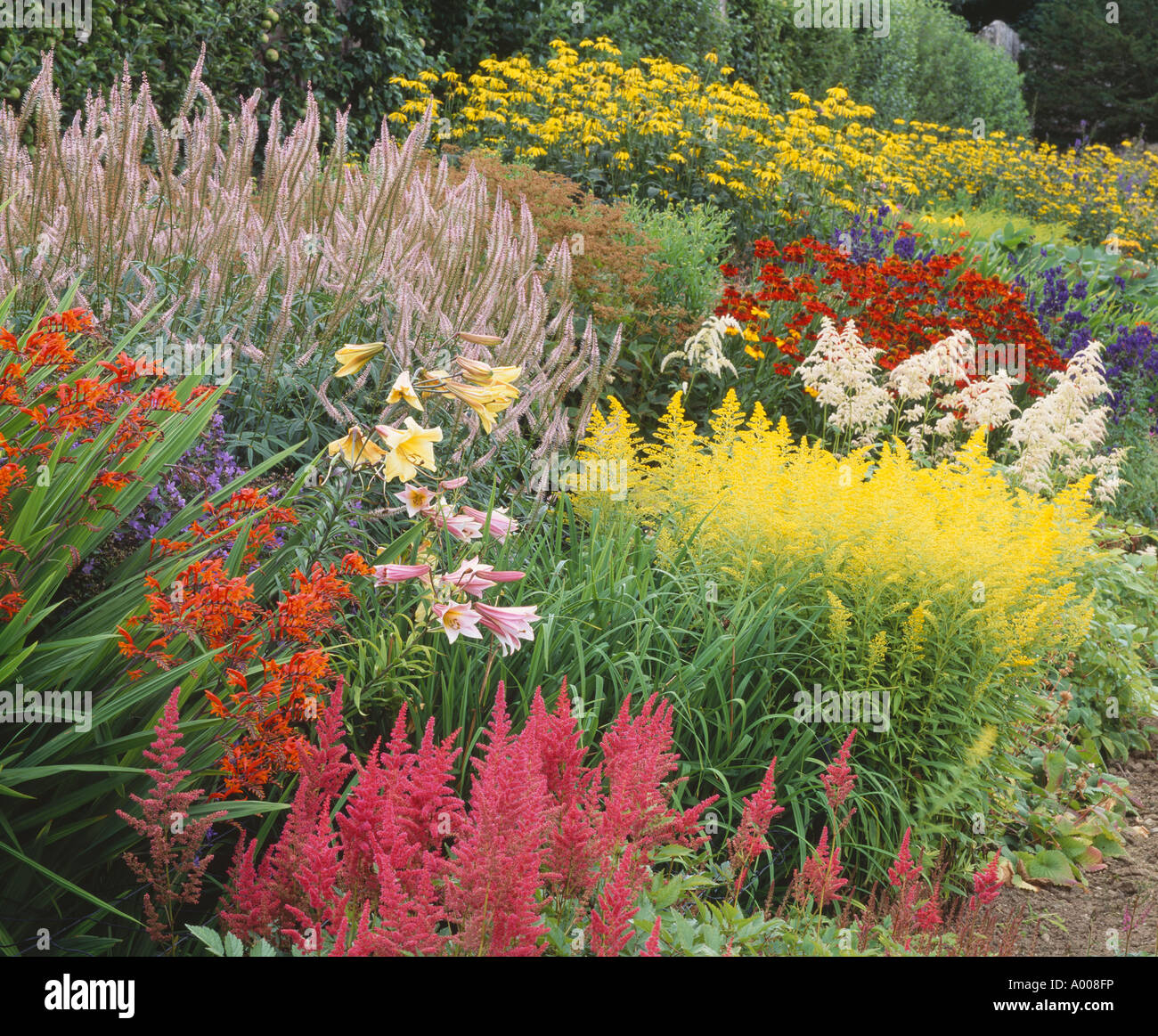 U k herbaceous border hi-res stock photography and images - Alamy