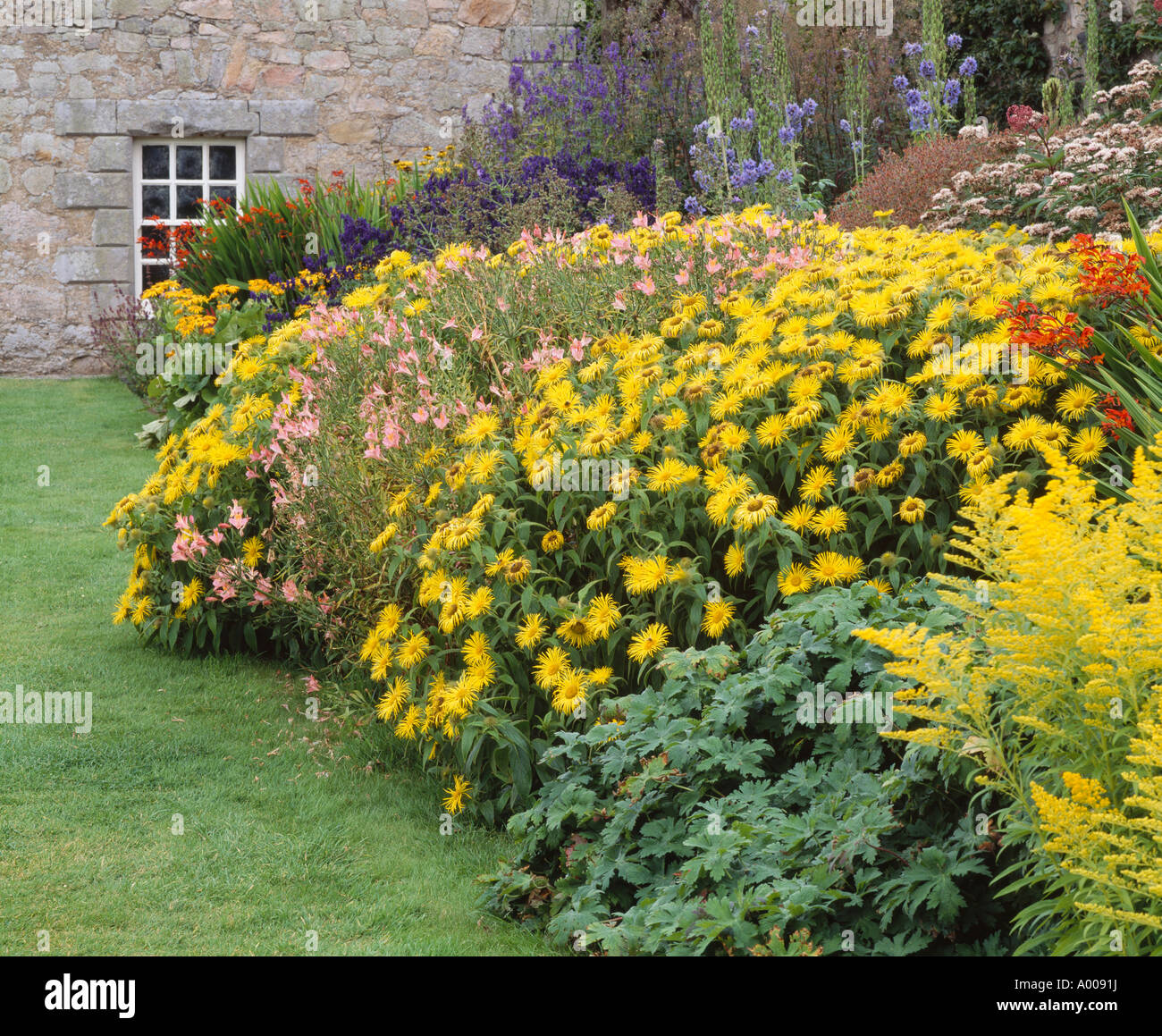 U k herbaceous border hi-res stock photography and images - Alamy