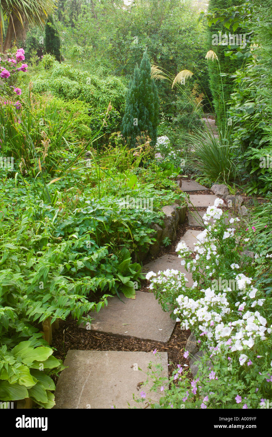 UK Don and Betty Frampton plantsmans garden suburban in summer paved path Stock Photo