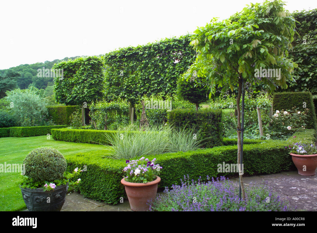 Little Malvern Court Malvern Worcs UK Alex Berrington paved area Little Malvern Court Malvern Worcs UK Alex Berrington paved area
