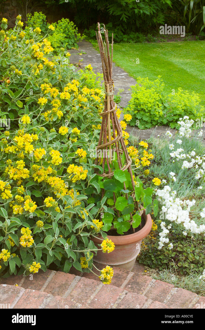 Little Malvern Court Malvern Worcs UK Alex Berrington nasturtiums growing up wigwam in pot on terrace Stock Photo