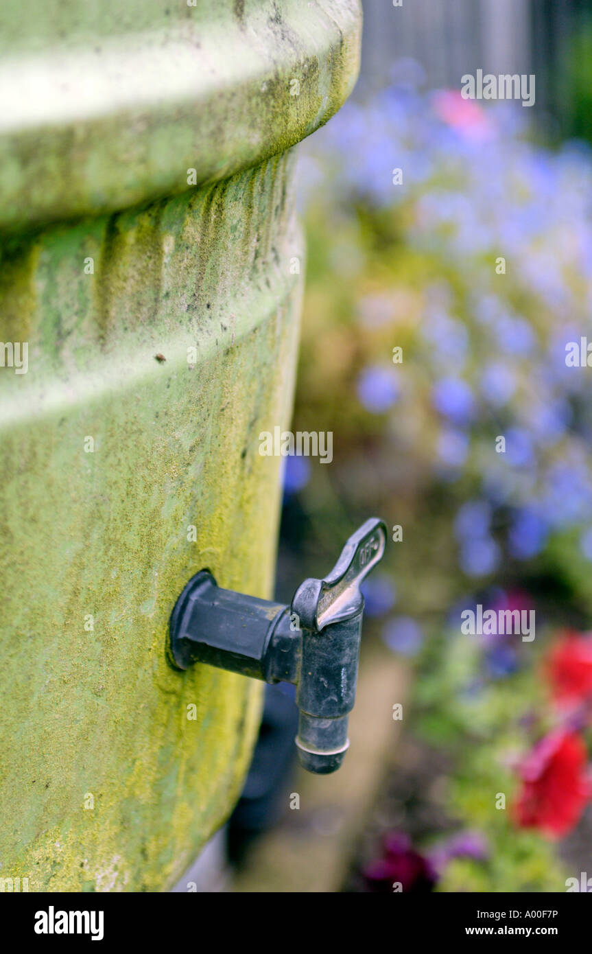 A Portrait Photograph of a Garden Water Container Tap Stock Photo Alamy
