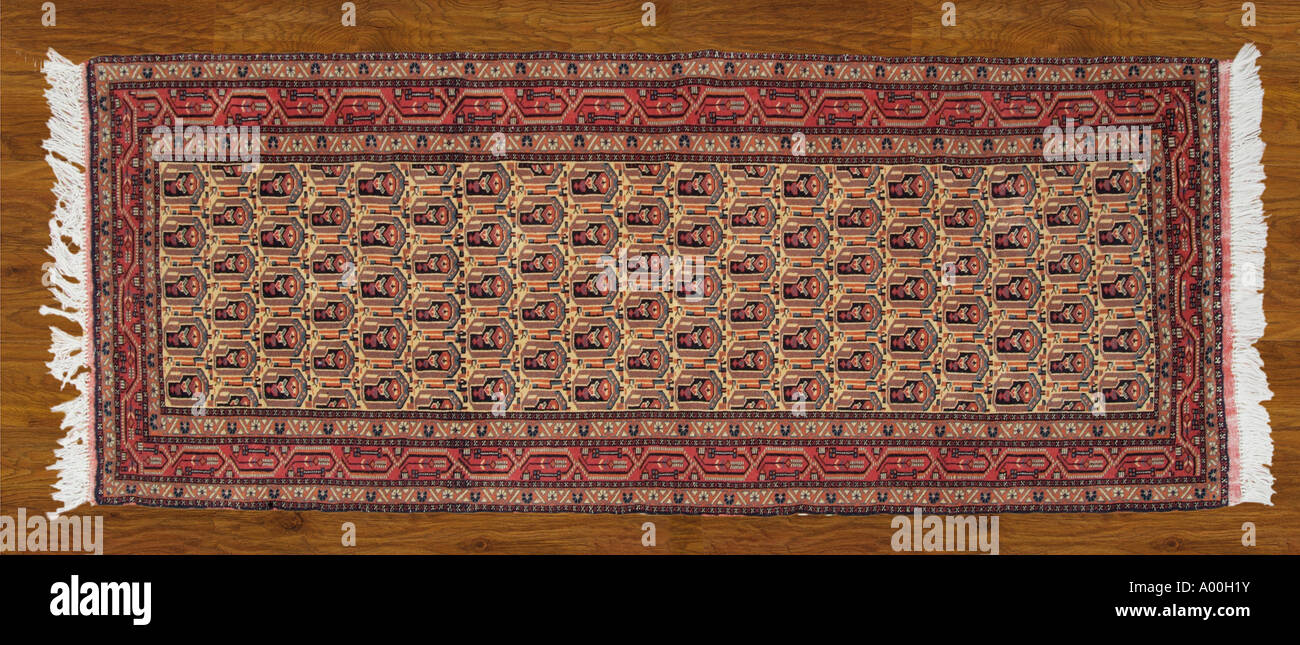 Carpet rug Iran Iranian Persia Persian near Middle East regional region
