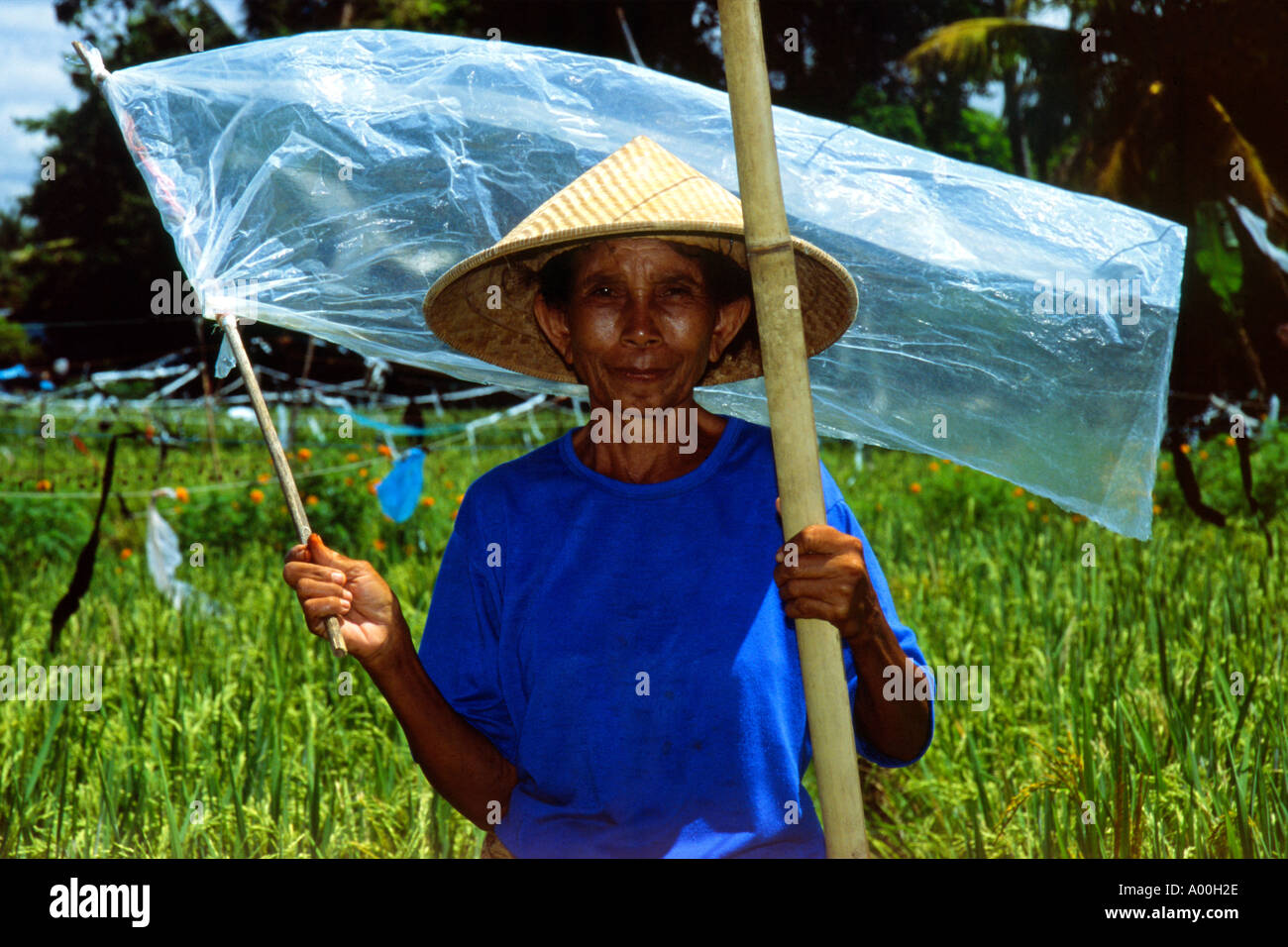 female elderly field worker wearing traditional conical hat carrying