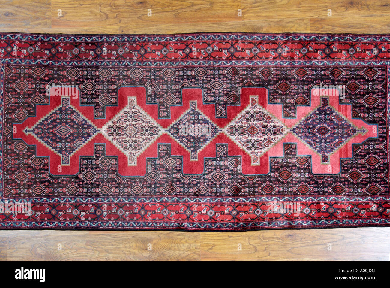 Carpet rug Iran Iranian Persia Persian near Middle East regional region