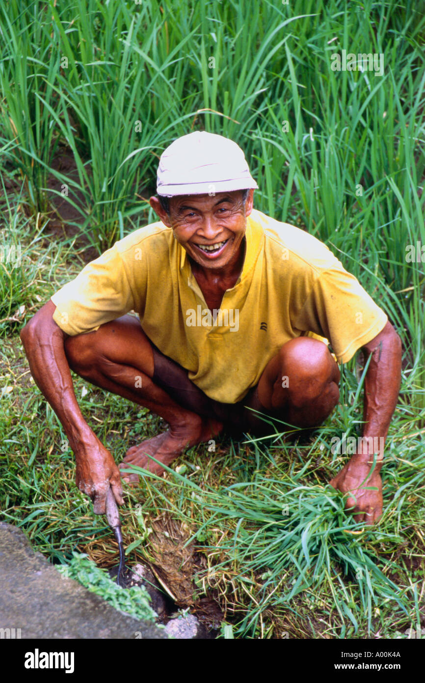 Grass Scythe Cutting Demonstration