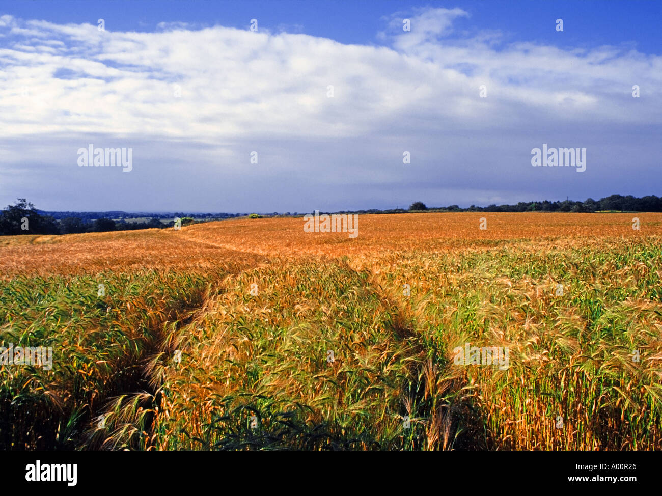 Midlands Ridge England Midlands farm hi-res stock photography and images - Alamy
