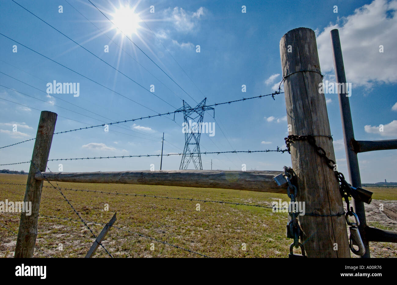high voltage transmission power lines in Florida USA fence Stock Photo