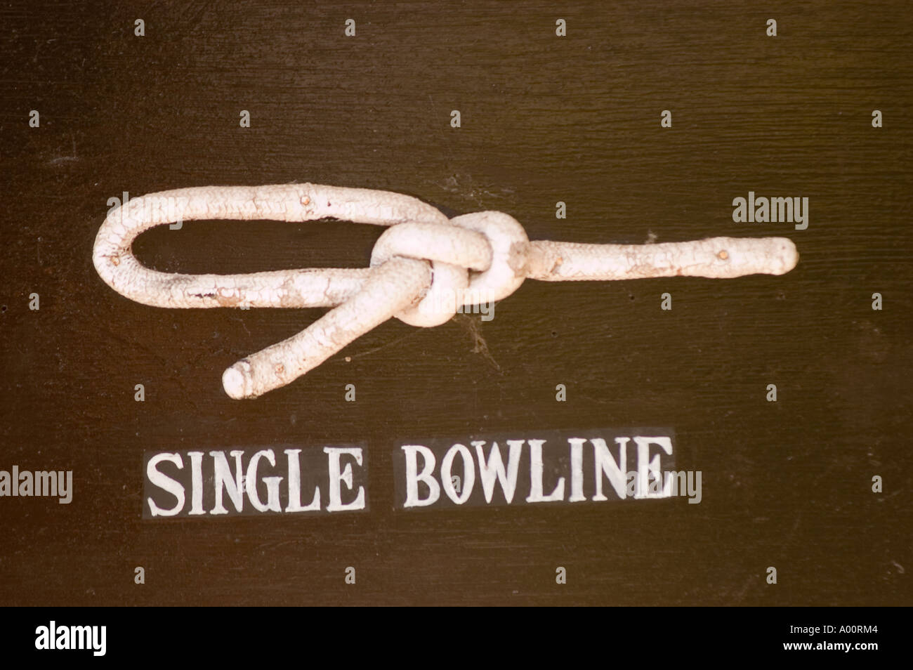 single bowline knot