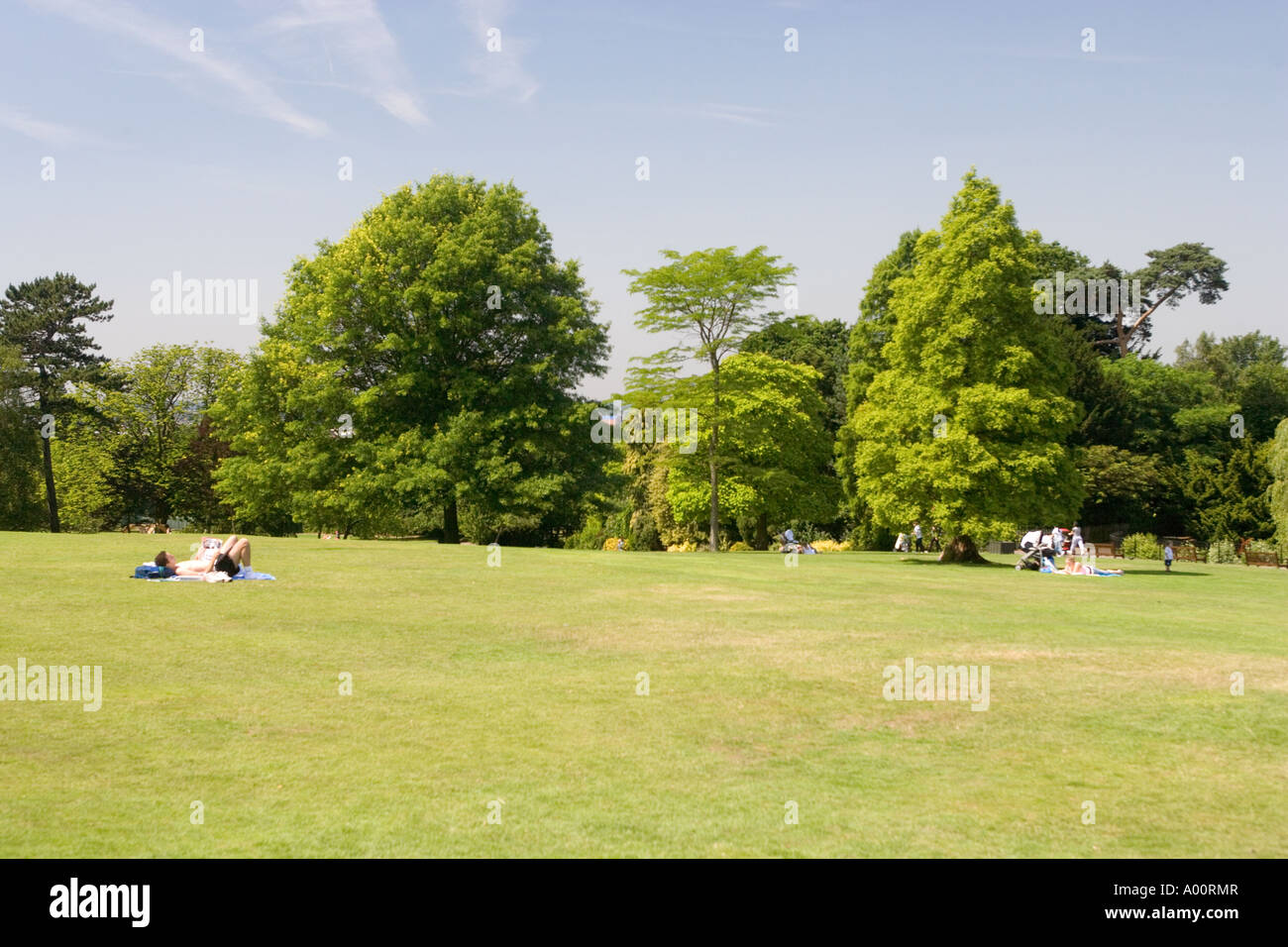 Golders Hill Park London England Stock Photo