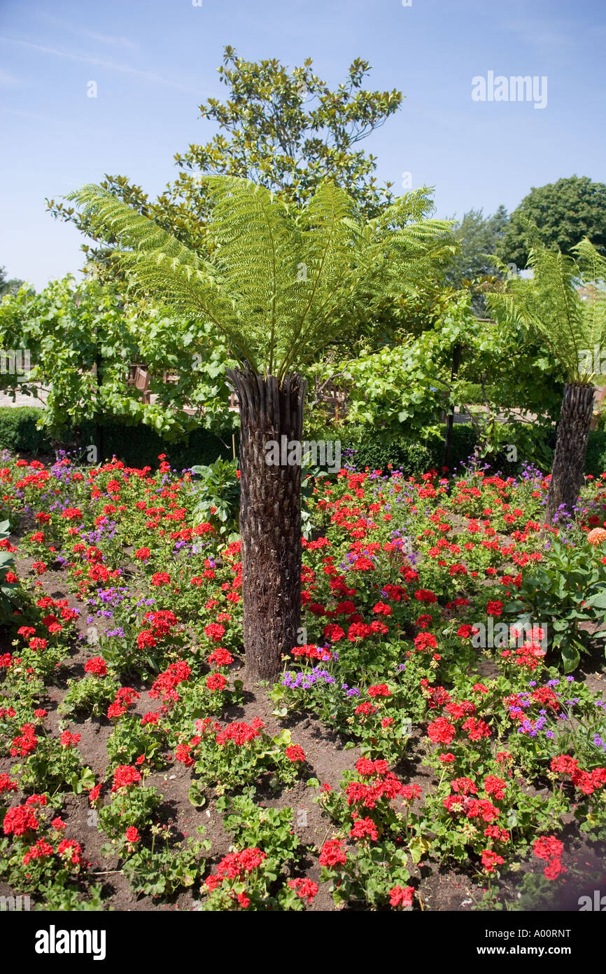 Flower Garden Golders Hill Park London England Stock Photo Alamy
