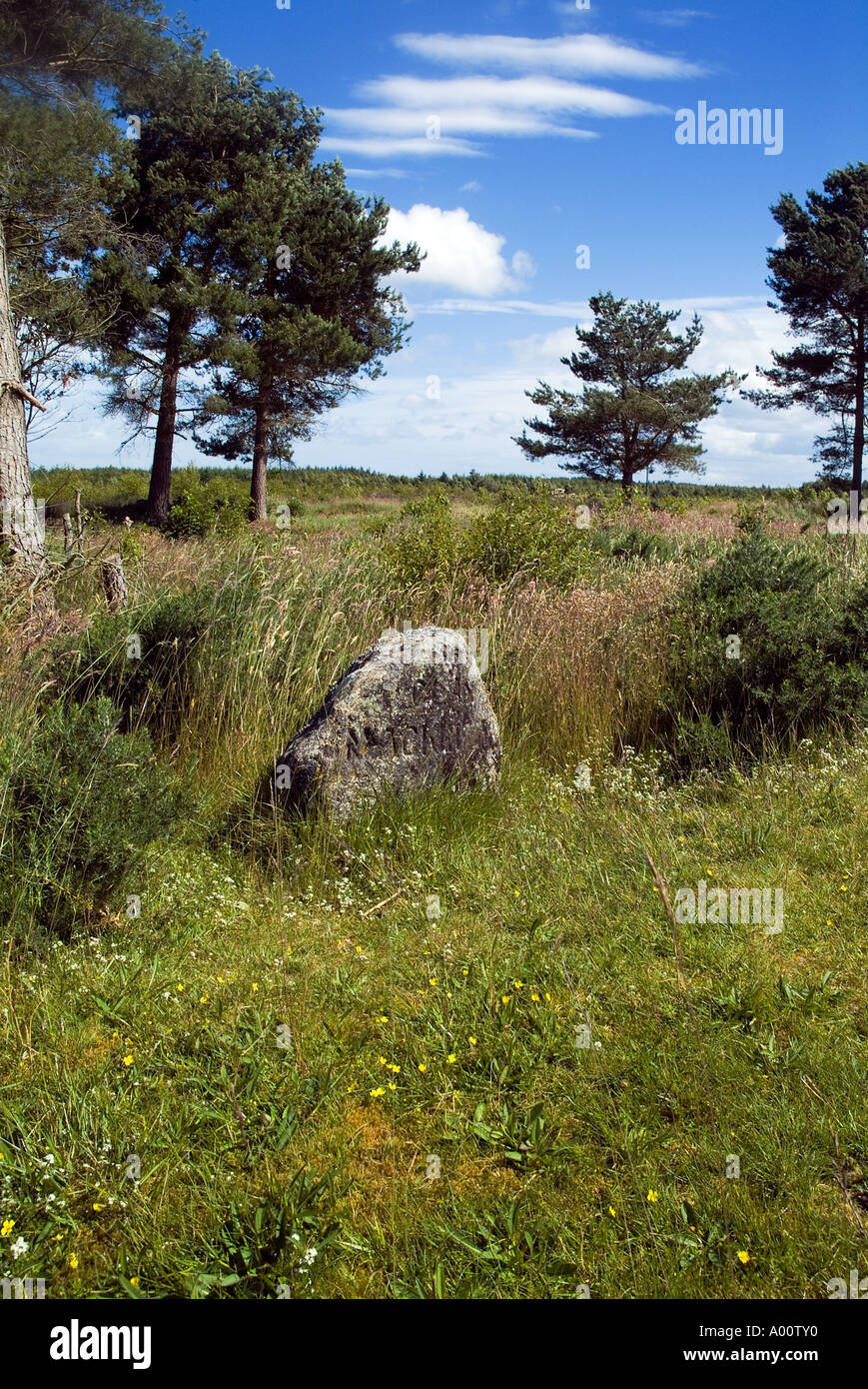 dh Battle field Mackinnon clan CULLODEN MOOR INVERNESSSHIRE Gravestone on battlefield jacobite 1745 rebellion scotland jacobites 1746 clans uprising Stock Photo