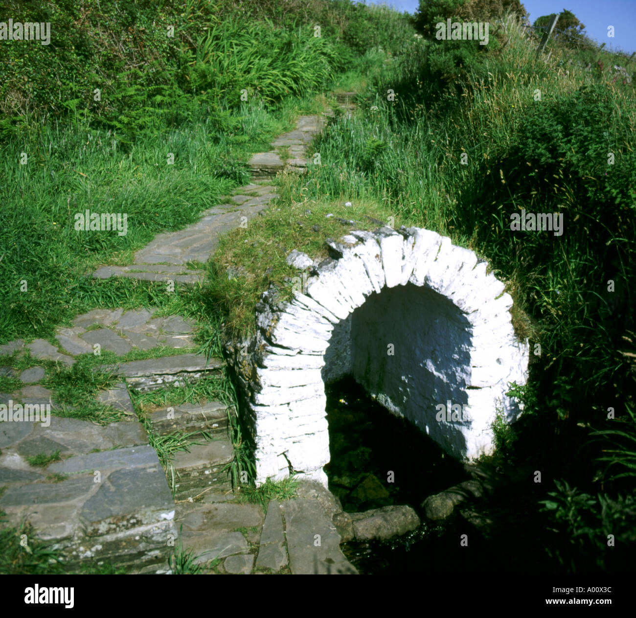 st nons holy well near st davids pembrokeshire west wales Stock Photo