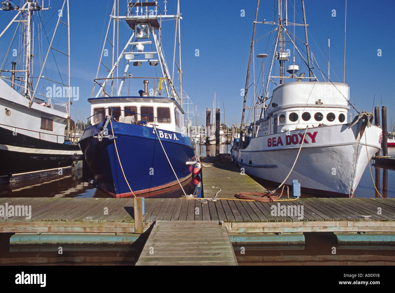 COMMERCIAL FISHING BOATS are docked at harbor MOSS LANDING CALIFORNIA