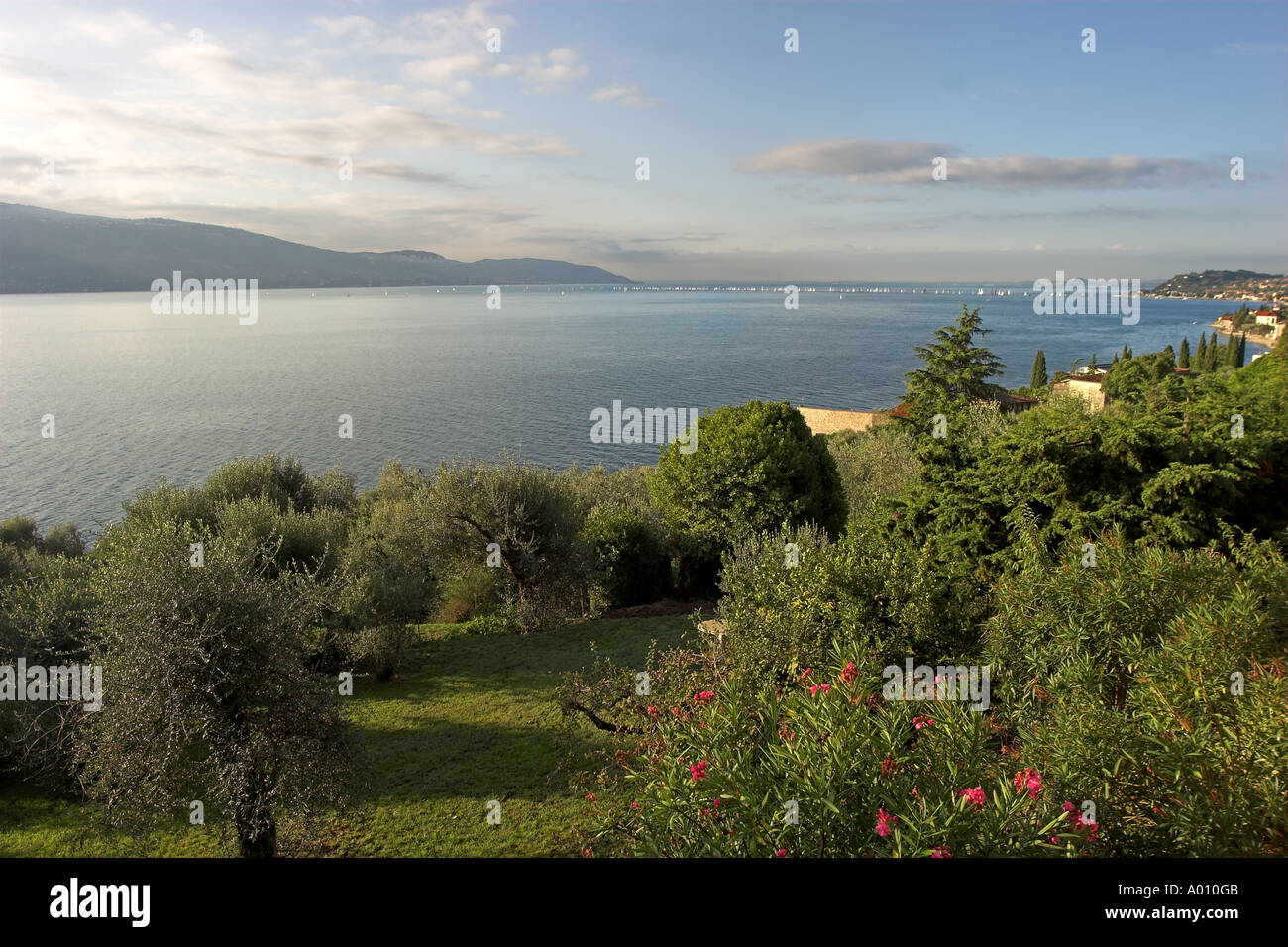 Southern view Lake Garda from Gargnano with regatta in distance Stock Photo