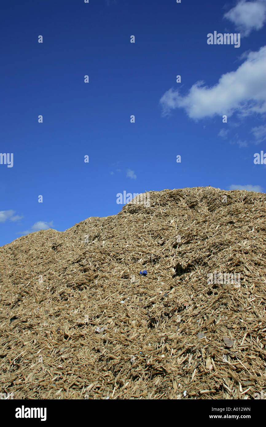 Wood chips used for power plant fuel Stock Photo Alamy