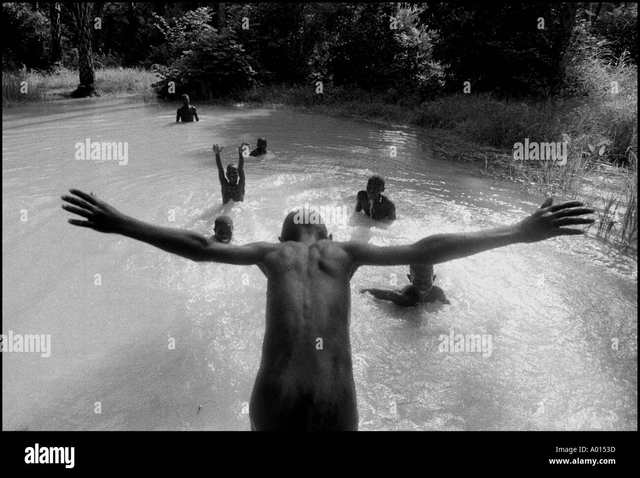 Briama Balde dives into the toufee with his friends in a small Muslim village in Guinea Bissau Photo by Ami Vitale Stock Photo