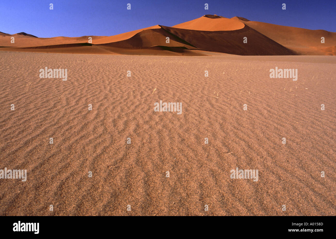 Namibia highest sand dune on earth Stock Photo Alamy