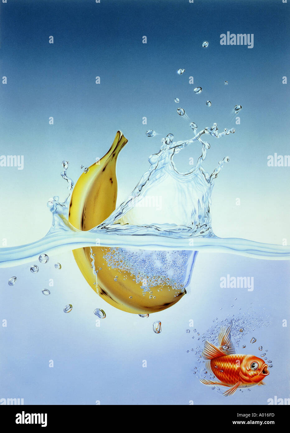 banana splashing into water with goldfish Stock Photo Alamy