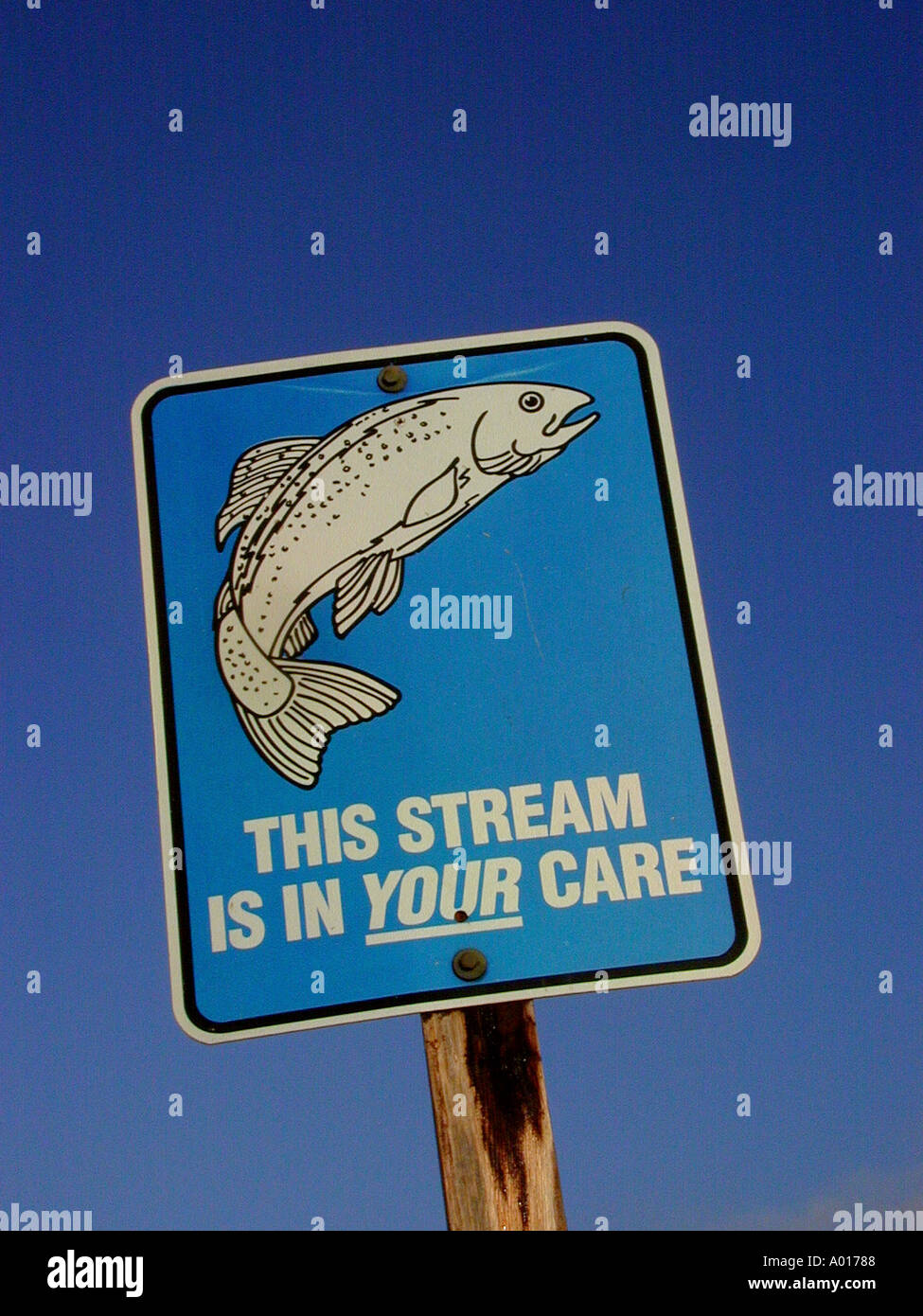 Streamside Signs Streamside sign indicating a fish habitat Stock Photo - Alamy