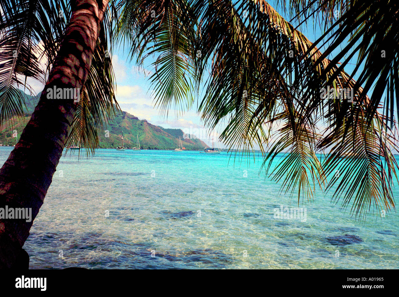 Moorea Background Tahiti beach hi-res stock photography and images - Alamy