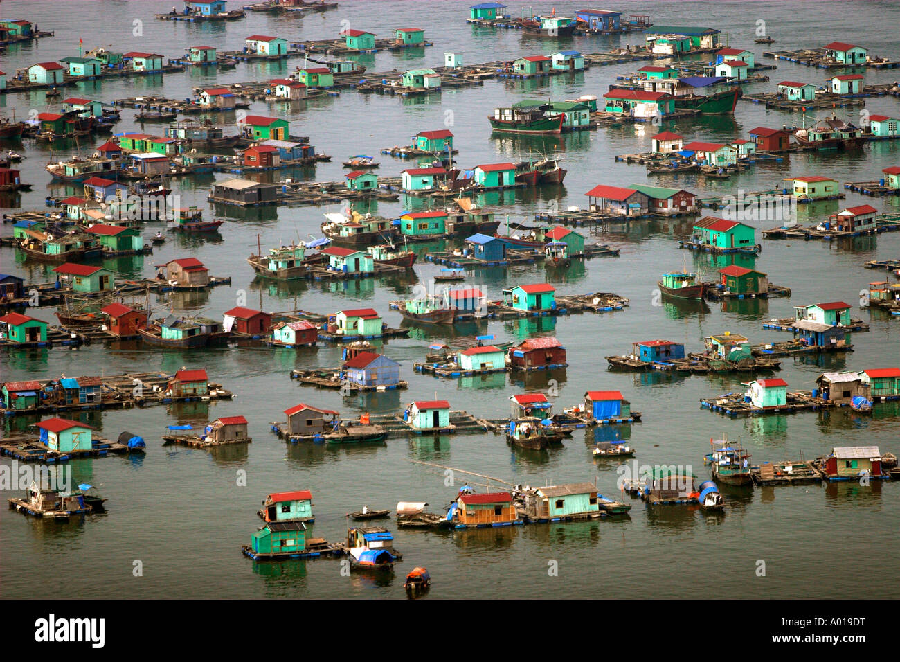 Floating fishing village Cat Ba Town bay north east Vietnam Stock Photo