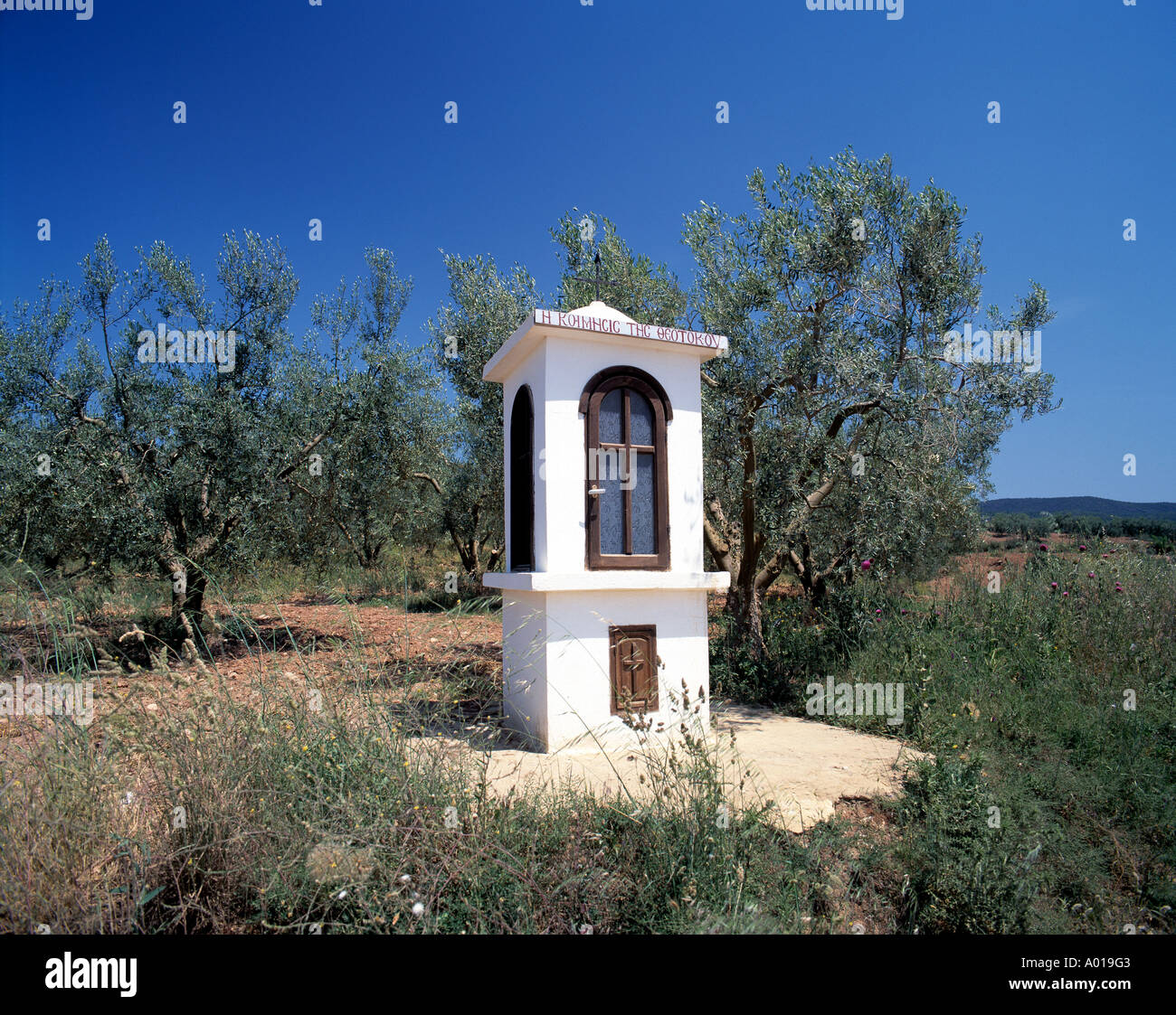 Greece, GR-Ormilia, Chalkidiki, Macedonia Central, chapel, Eklisiakia, accident memorial, olive grove Stock Photo