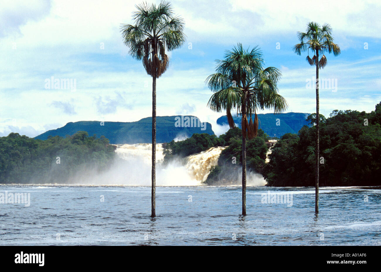 Canaima Waterfalls, Venezuela Stock Photo