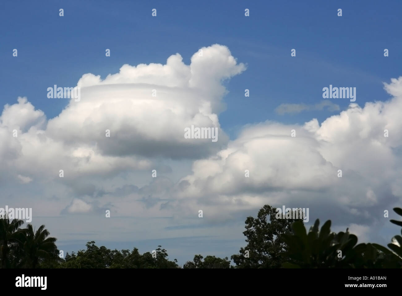 Cloud white puffy hi-res stock photography and images - Alamy