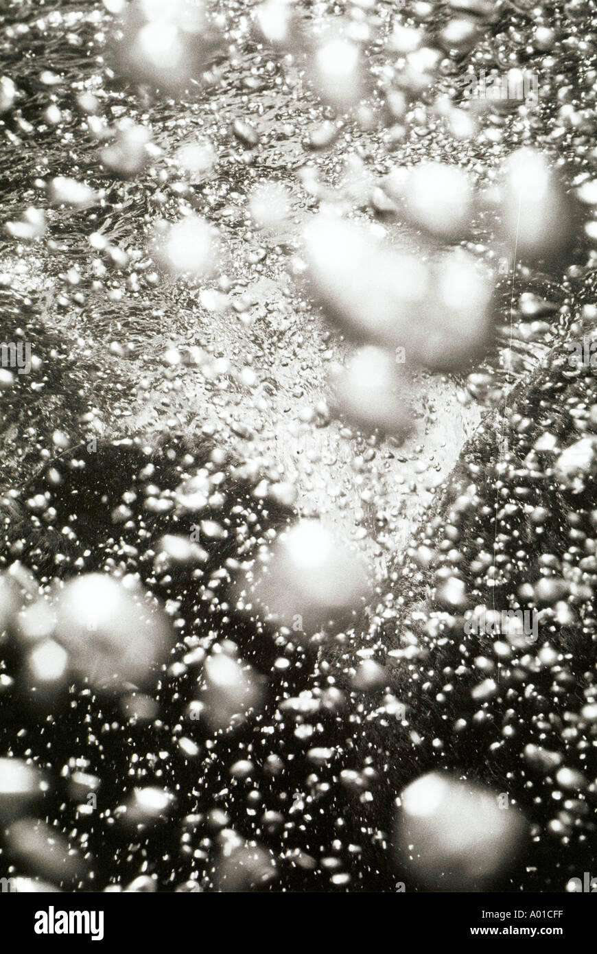 underwater landscapes black and white Stock Photo - Alamy