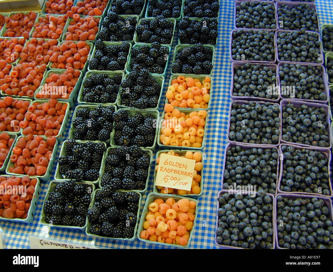 Berries for sale at the Pike Place Market in Seattle Washington Digital