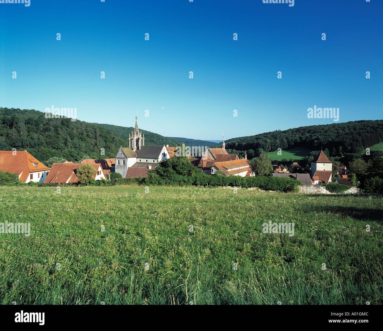 Zisterzienserkloster Bebenhausen, Waldlandschaft, Huegellandschaft, Tuebingen-Bebenhausen, Naturpark Schoenbuch, Baden-Wuerttemberg Stock Photo