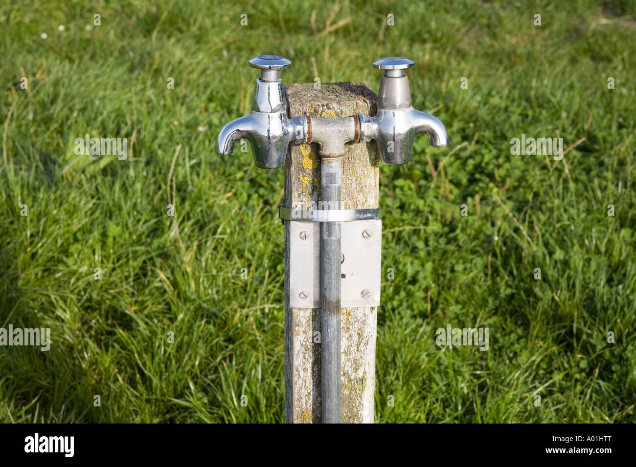 public water taps