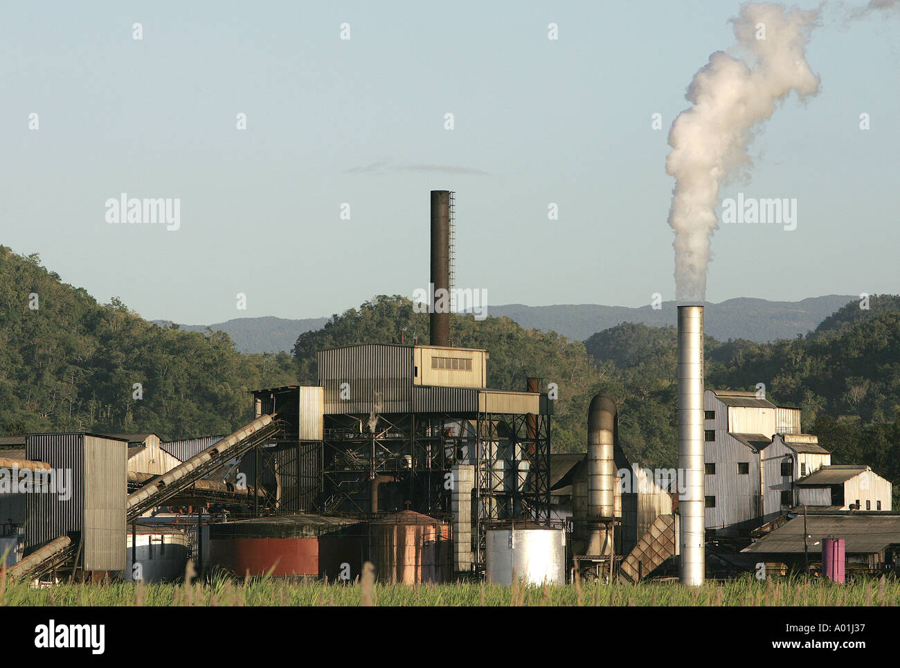 The Appleton rum distillery, Jamaica Stock Photo Alamy